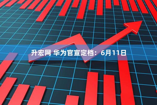 升宏网 华为官宣定档：6月11日