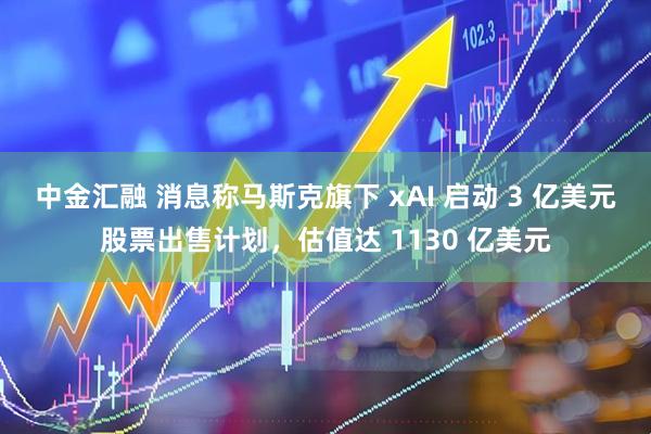 中金汇融 消息称马斯克旗下 xAI 启动 3 亿美元股票出售计划，估值达 1130 亿美元