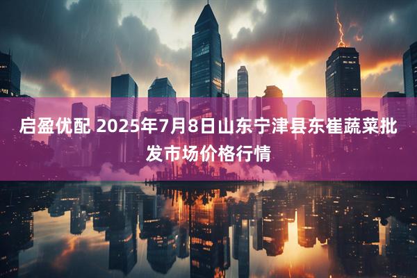 启盈优配 2025年7月8日山东宁津县东崔蔬菜批发市场价格行情