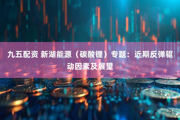 九五配资 新湖能源（碳酸锂）专题：近期反弹驱动因素及展望