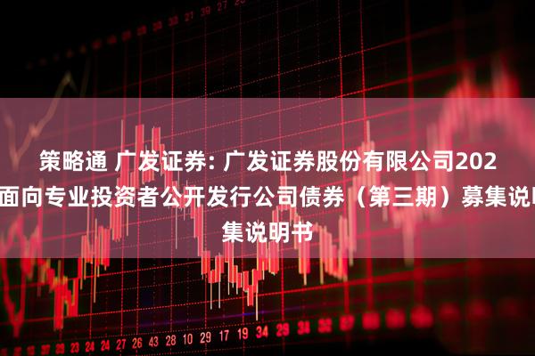 策略通 广发证券: 广发证券股份有限公司2025年面向专业投资者公开发行公司债券（第三期）募集说明书