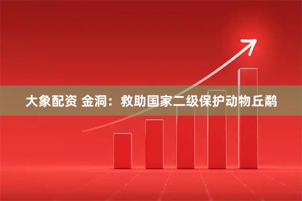 大象配资 金洞：救助国家二级保护动物丘鹬