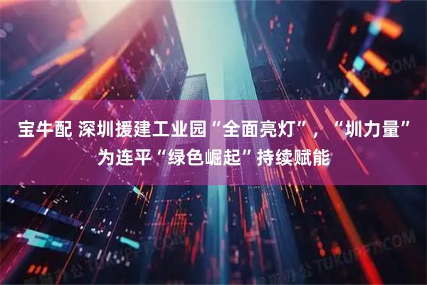 宝牛配 深圳援建工业园“全面亮灯”，“圳力量”为连平“绿色崛起”持续赋能