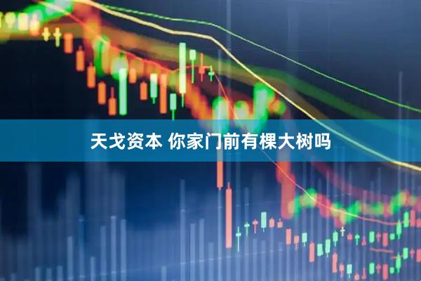 天戈资本 你家门前有棵大树吗